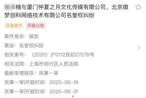 起诉娱乐吃瓜君的案例,网络言论边界与法律责任的较量  第2张