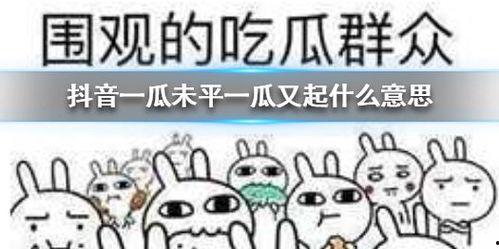 抖音娱乐吃瓜君,抖音“吃瓜君”带你揭秘娱乐圈最新热点事件  第3张