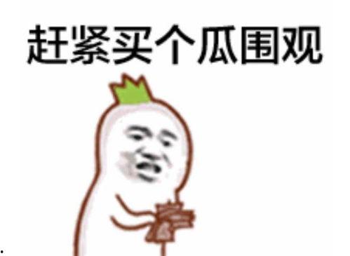 回复吃瓜表情包,揭秘热门事件背后的表情包风云  第3张